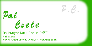 pal csele business card